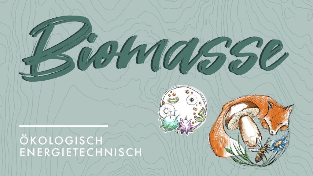 Wissenswertes zum nachhaltigen Podcast zum Thema Biomasse