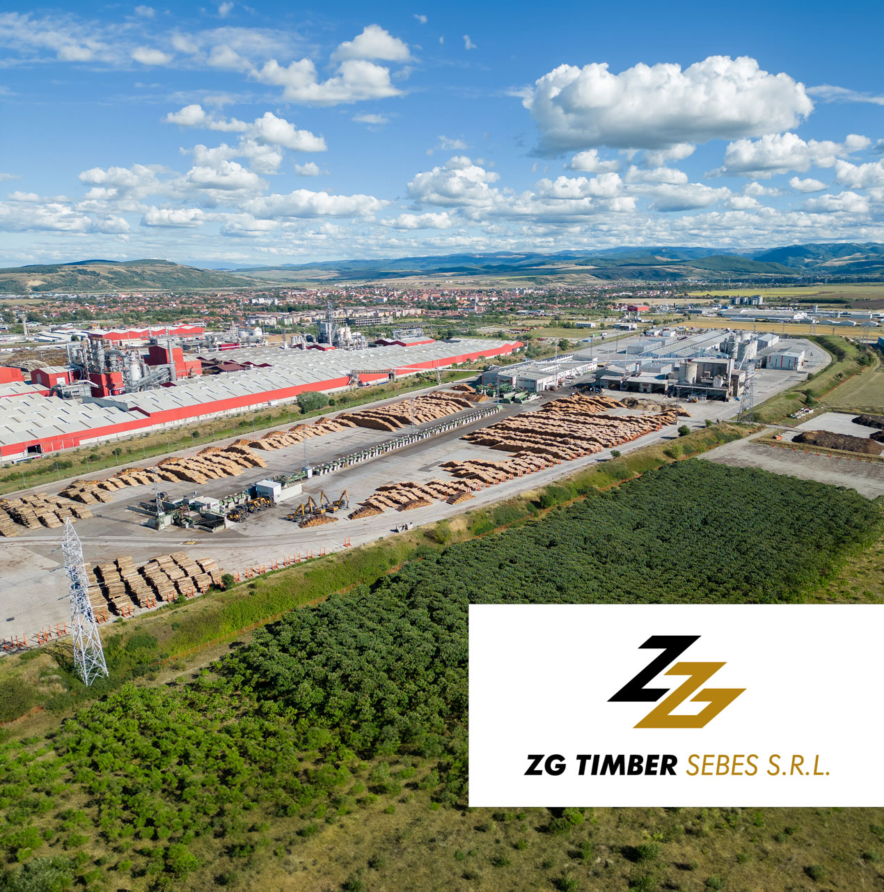 Neues Sägewerk in Sebeș (Rumänien)